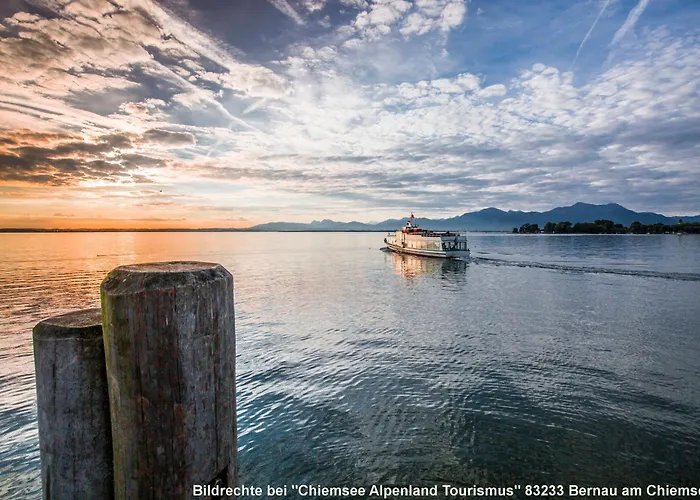 Eitermoser Afrikanischer Traum