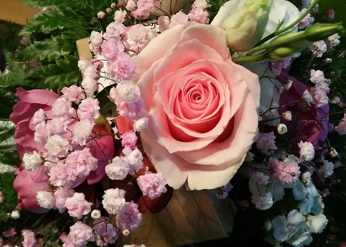 Eitermoser Afrikanischer Traum *